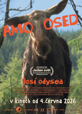 AMOOSED: losí odysea