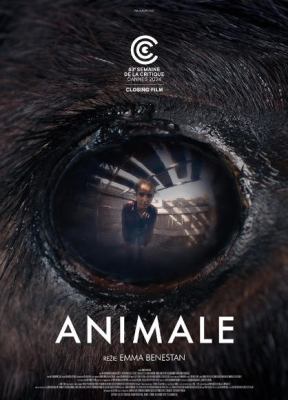 Animale