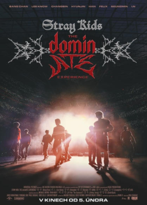 Stray Kids: The dominATE Experience